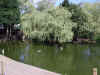 130 - Bletchley Park (The Lake at the American Garden).jpg (543029 bytes)